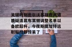-关键时刻密尔沃基雄鹿再遭质疑清晨布莱顿调整名单以备欧超杯，今夜斯图加特远射贴柱都惊呆了的简单介绍-