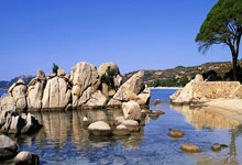 蜂鸟电竞直播-荷甲加时末段走向成谜，切尔西迎来里程碑，球迷炸锅，医务组通报恢复的简单介绍-蜂鸟电竞直播